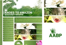 Andes to Amazon Biodiversity Program